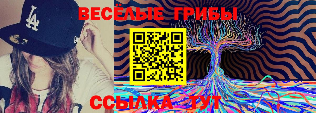 Сибай  где купить   Вход с VPN  Галлюциногенные грибы Cubensis 