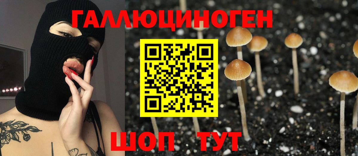 Галлюциногенные грибы ЛСД Сибай